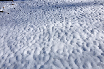 山地に積もる新雪 丹沢山地の鍋割山
