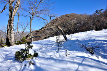 丹沢の鍋割山の雪化粧