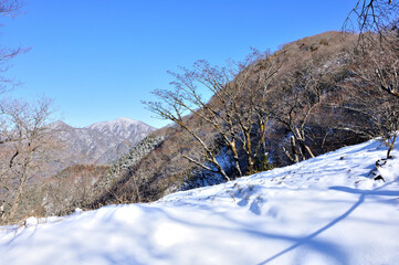 丹沢山地の雪化粧 鍋割山より檜洞丸を望む