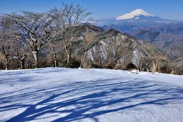 Obraz premium 厳冬の富士山眺望 丹沢山地の鍋割山山頂より望む