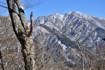 冬の丹沢山地 鉄砲沢ノ頭より丹沢主脈を望む