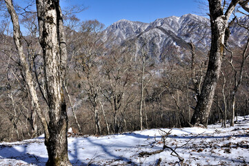 丹沢の鉄砲沢ノ頭より雪の丹沢主脈の眺望