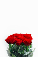 red roses bouquet on white background, close-up view