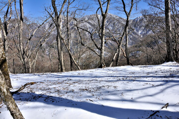 雪化粧した丹沢 鉄砲沢ノ頭の森より丹沢主脈を望む