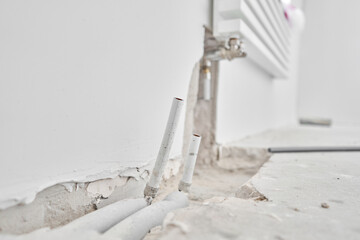 Many different colors on the stand or wooden table in the flower shop. Showcase. Background of mix of flowers. Beautiful flowers for catalog or online store.