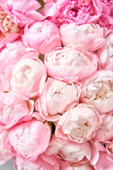 Beautiful Pink peony flower for catalog or online store. Floral shop concept . Beautiful fresh cut bouquet. Flowers delivery