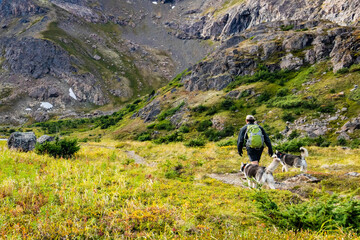 Hiking with a couple of husky dogs in Alaska Glen Alps