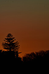 atardecer