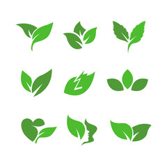Green leaves logo. plant nature eco garden stylized