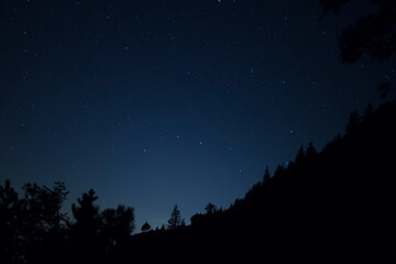 nightscape, night full of stars, view at the stars and the constellation zodiac, great bear, great waggon through trees, Bavaria, Germany