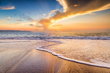 Sunset Ocean Divine Sun Ray Birds