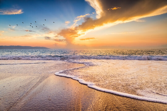 Sunset Beach Ocean Sun Ray Birds Nature Landscape