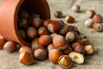 Hazelnuts are scattered on the table. Close-up.