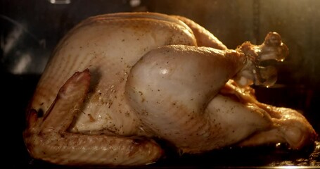 Timelapse Fragrant turkey is baked in oven until golden.