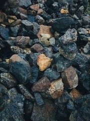 Sea ​​stones on land