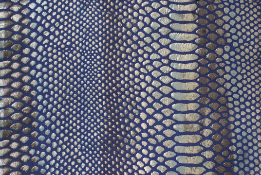 blue animal print leather texture
