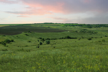 Fototapeta premium Beautiful landscape with green grass on sunny day