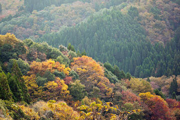 Naklejka premium 山の紅葉 高千穂峡の山々 