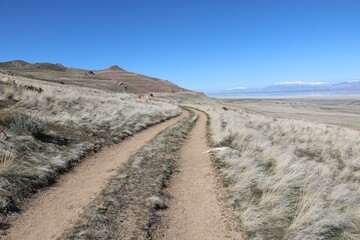 Looking down at Antelope Island, Great Salt Lake and Wasatch mountains from Sentry Loop trail
