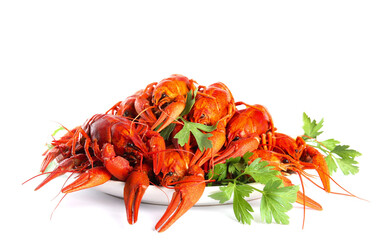 Plate with delicious boiled crayfishes on isolated white
