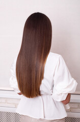 Female back with long straight brunette hair in hairdressing salon