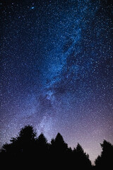 Wonderful Night sky with milky way rising above the forest pine trees and flying clouds.