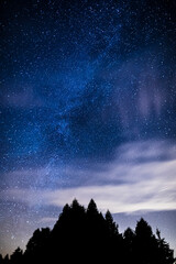 Wonderful Night sky with milky way rising above the forest pine trees and flying clouds.