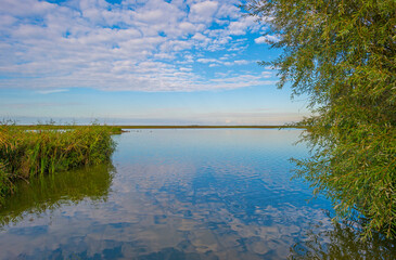 The edge of a lake in a green grassy field in sunlight under a blue cloudy sky in autumn, Almere, Flevoland, The Netherlands, September 29, 2020