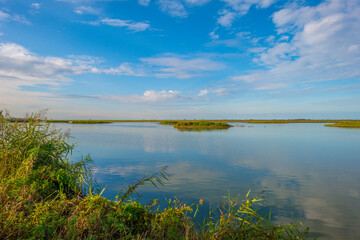 The edge of a lake in a green grassy field in sunlight under a blue cloudy sky in autumn, Almere, Flevoland, The Netherlands, September 29, 2020