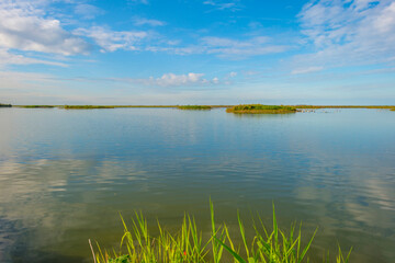 The edge of a lake in a green grassy field in sunlight under a blue cloudy sky in autumn, Almere, Flevoland, The Netherlands, September 29, 2020
