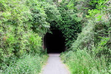 Dark tunnel on the forest path