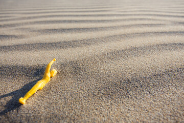 yellow plastic doll swimming in the sand