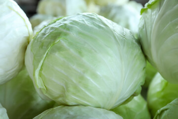 Pile of ripe white cabbages as background, closeup