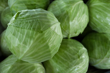 Pile of ripe green cabbages as background, closeup