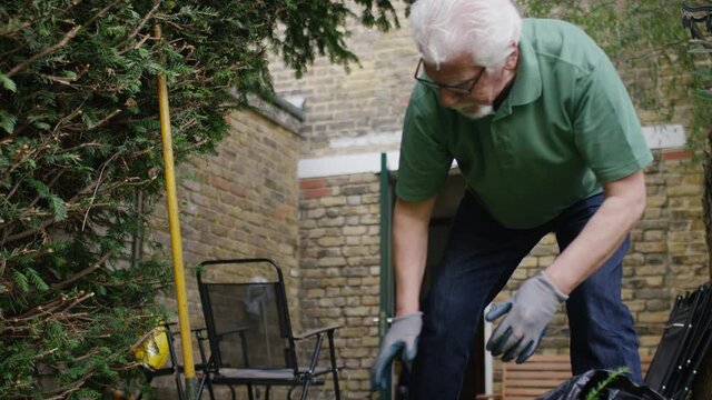 Senior man in his garden tidying up excess greenery he has trimmed