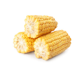 Pieces of ripe raw corn cobs on white background