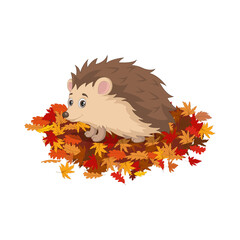 Cute hedgehog cartoon on autumn leaves