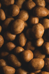 Fototapeta na wymiar Macro close up of Japanese Style peanuts