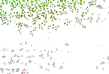 Light Green, Red vector texture with random forms.