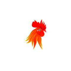 rooster isolated on white background