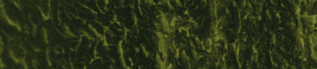 abstract black and dark green colors background for design