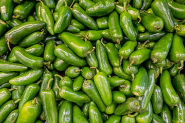 Green pablano chilis in a pile ready for sale.
