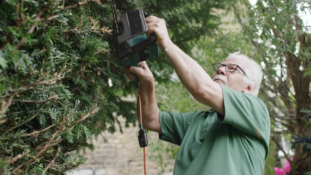 Elderly gardener using electric pruning shears to trim the hedge, in slow motion