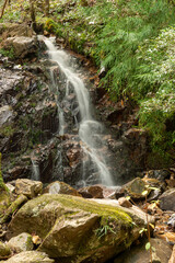 Water flow in Ruri valley in Sonobe, Nantan city, Kyoto, Japan in summer