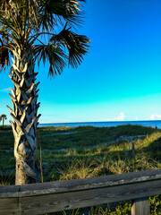 A View of the Coastline
