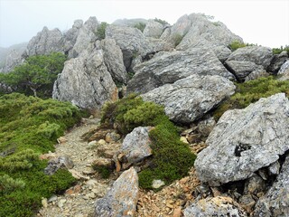 南アルプス･茶臼岳