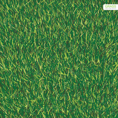 Green lawn grass texture for background. Vector.