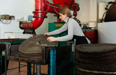 Skilled woman engaged in olive oil production spreading milled olives on fiber disks to press