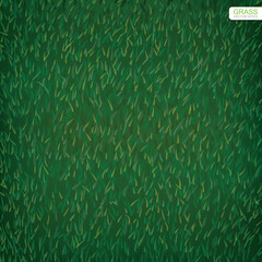 Green lawn grass texture for background. Vector.