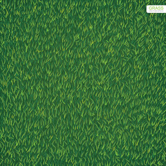 Green lawn grass texture for background. Vector.